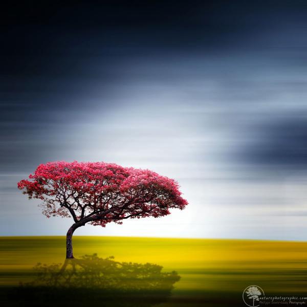 Landscape Photography by Philippe Sainte-Laudy
