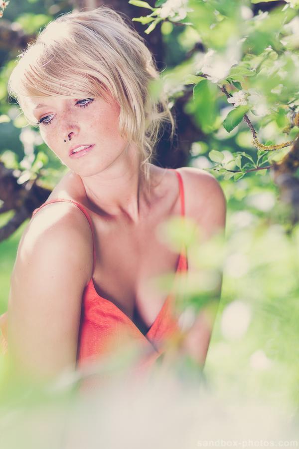 Photography by Christopher Wesser