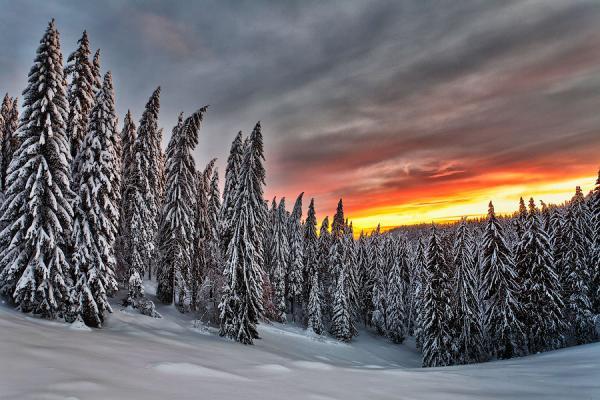 Landscape Photography by Evgeni Dinev