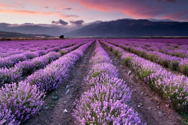 Landscape Photography by Evgeni Dinev