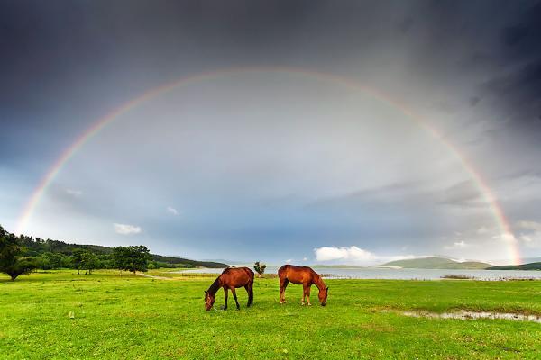 Landscape Photography by Evgeni Dinev
