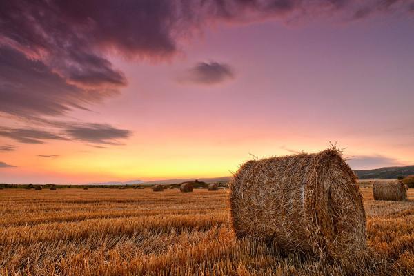 Landscape Photography by Evgeni Dinev