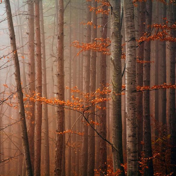 Landscape Photography by Evgeni Dinev