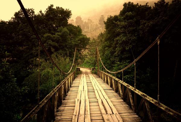 Photography by Isac Goulart
