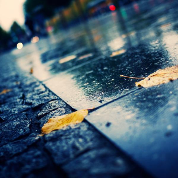Photography by Isac Goulart