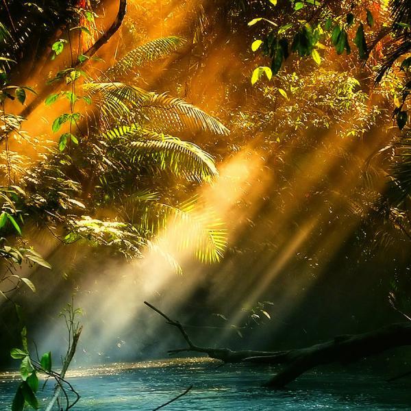 Photography by Isac Goulart