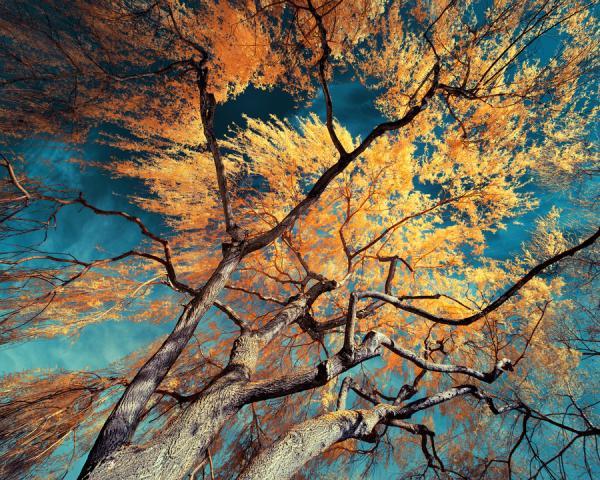 Landscape Photography by David Keochkerian