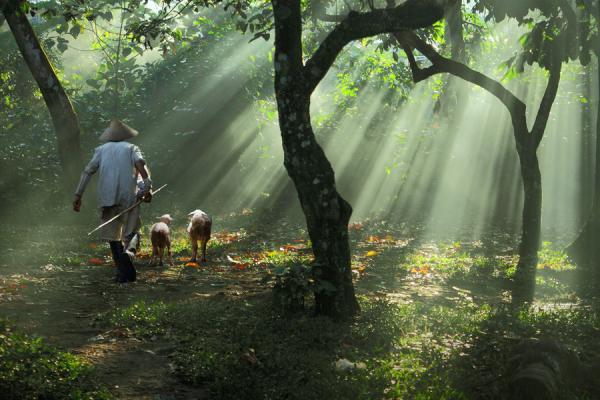 Amazing Photography by Dewan Irawan