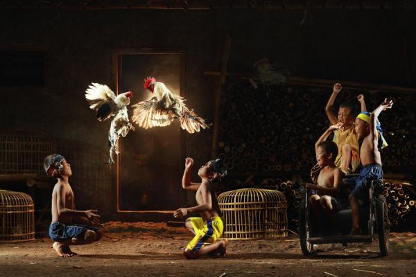 Amazing Photography by Dewan Irawan