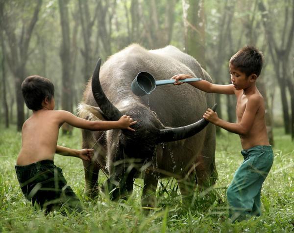 Amazing Photography by Dewan Irawan
