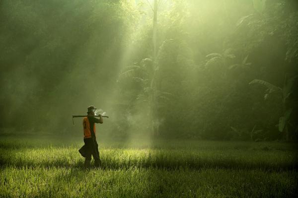 Amazing Photography by Dewan Irawan