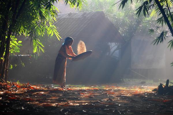 Amazing Photography by Dewan Irawan