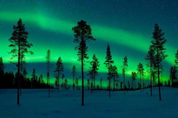 Photography by Miles Morgan