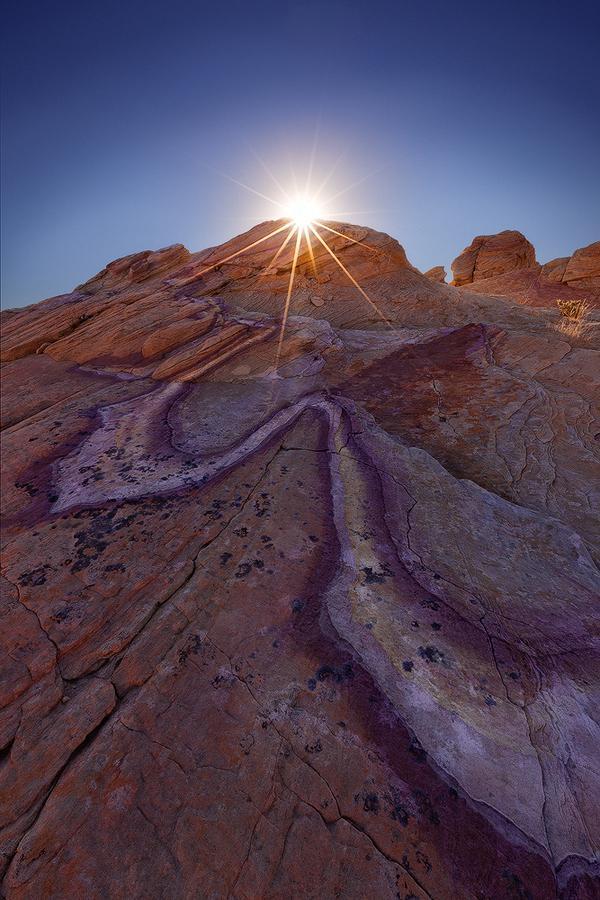 Photography by Miles Morgan