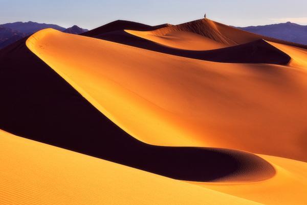 Photography by Miles Morgan