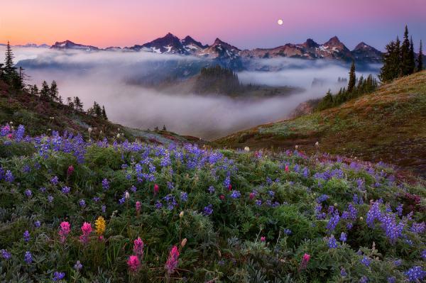 Photography by Miles Morgan