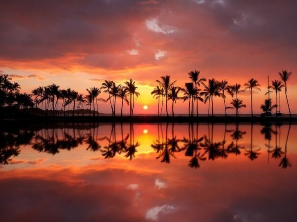 Photography by Miles Morgan