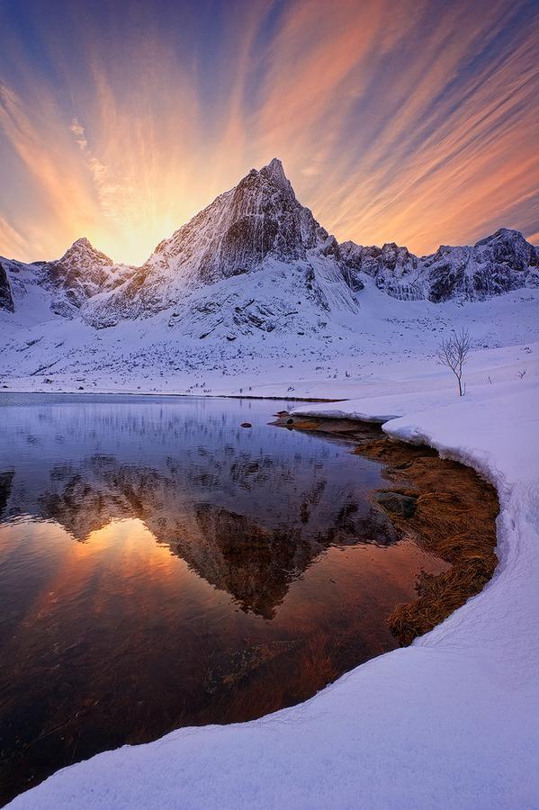 Photography by Miles Morgan