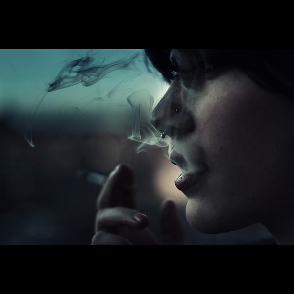 Photography by Brandt Campbell