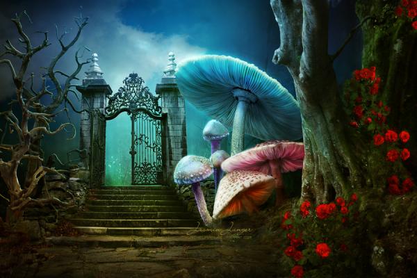 Photo Manipulations by Jasmin Junger