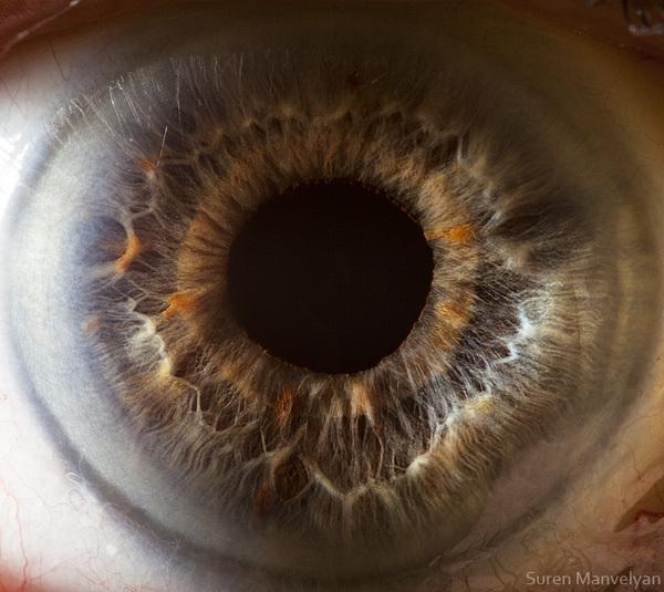 Your beautiful eyes by Suren Manvelyan