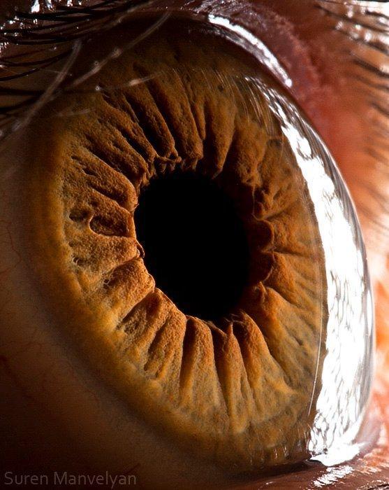 Your beautiful eyes by Suren Manvelyan