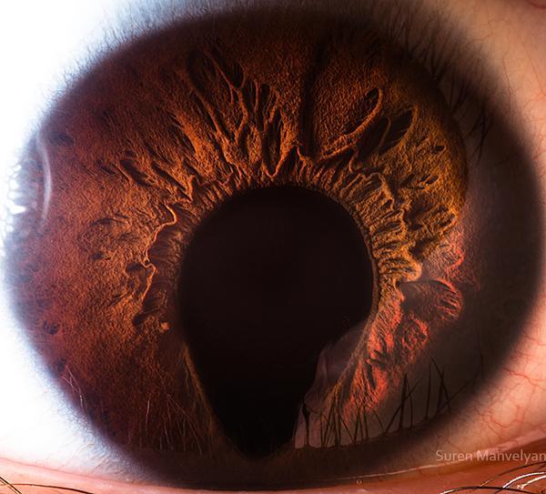 Your beautiful eyes by Suren Manvelyan