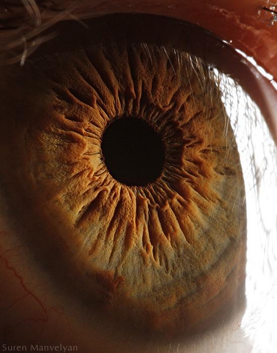 Your beautiful eyes by Suren Manvelyan