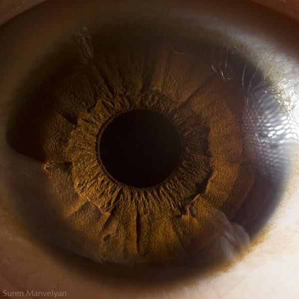 Your beautiful eyes by Suren Manvelyan