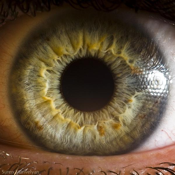 Your beautiful eyes by Suren Manvelyan