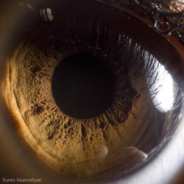 Your beautiful eyes by Suren Manvelyan