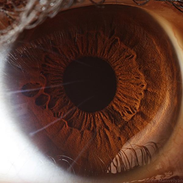 Your beautiful eyes by Suren Manvelyan