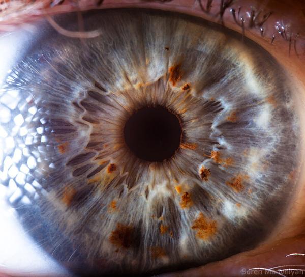 Your beautiful eyes by Suren Manvelyan