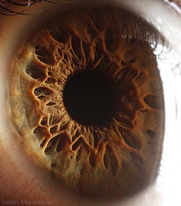 Your beautiful eyes by Suren Manvelyan