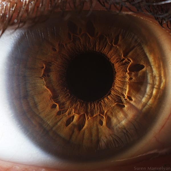 Your beautiful eyes by Suren Manvelyan