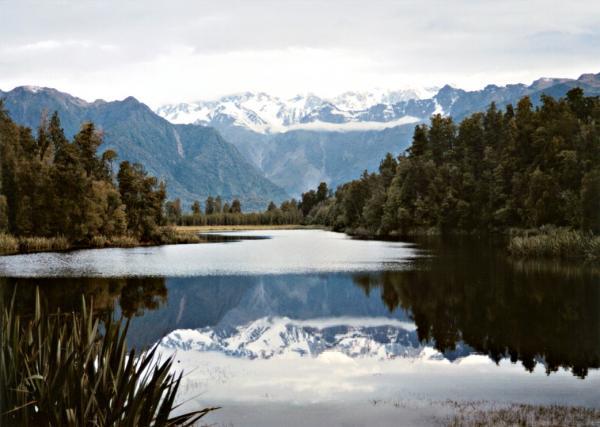 Beautiful Reflection Shots in Lake Matheson