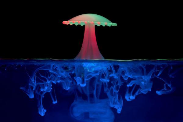 Water Drop Photography by Corrie White