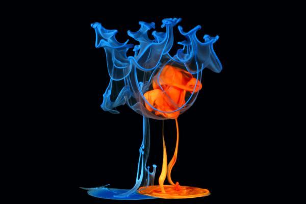 Water Drop Photography by Corrie White