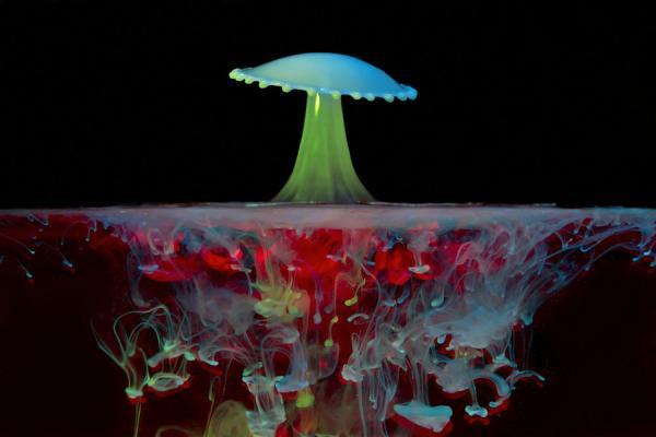 Water Drop Photography by Corrie White