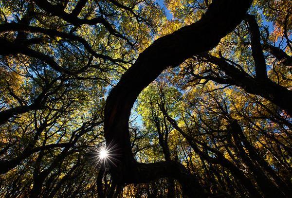Amazing Landscape Photography by Ian Plant