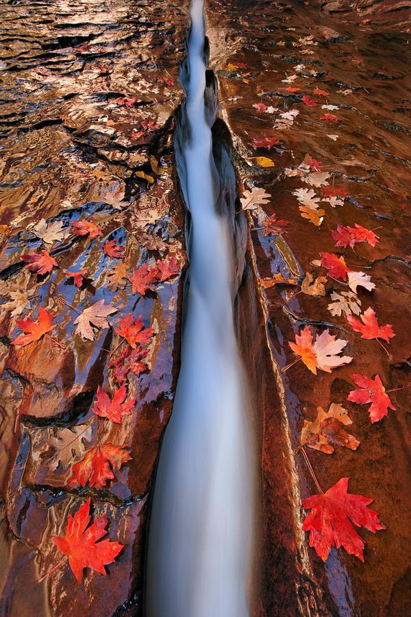 Amazing Landscape Photography by Ian Plant