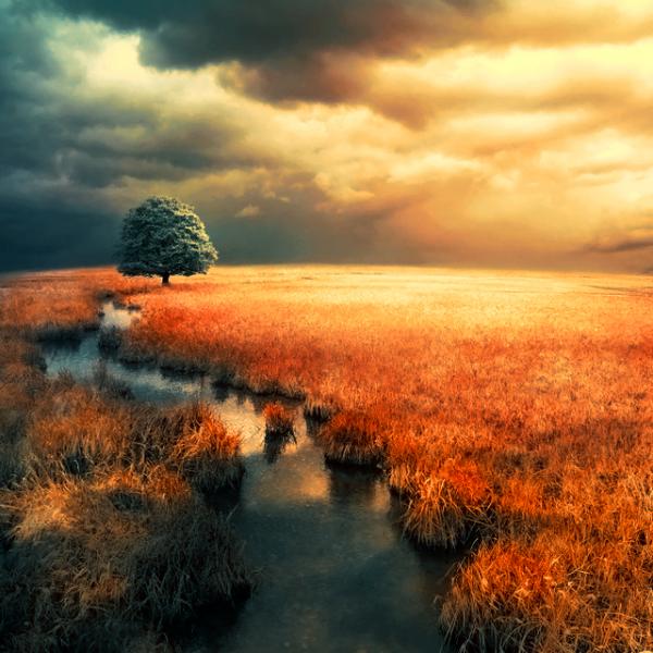 Photo Manipulation by Barbara Florczyk