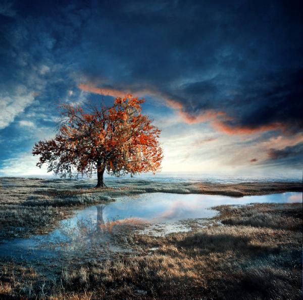 Photo Manipulation by Barbara Florczyk