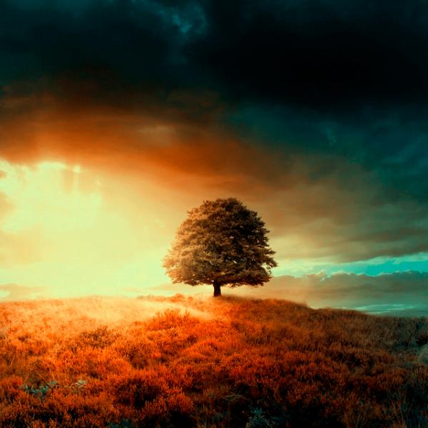 Photo Manipulation by Barbara Florczyk