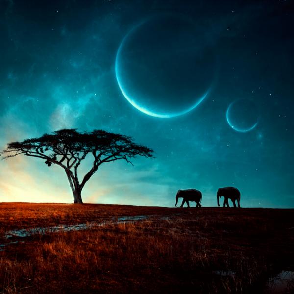 Photo Manipulation by Barbara Florczyk