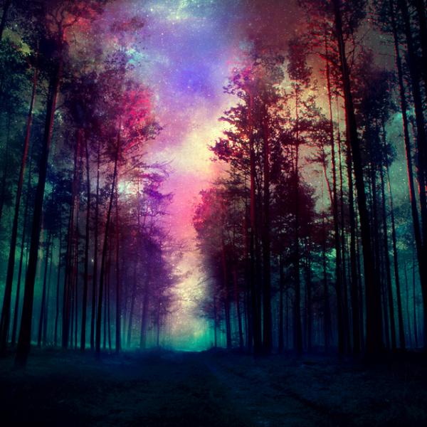 Photo Manipulation by Barbara Florczyk