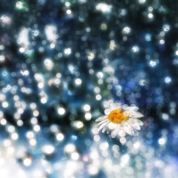 Photography by M kun2