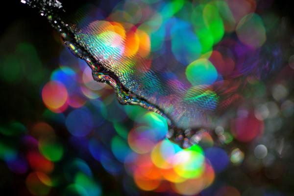 Photography by M kun2