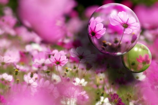 Photography by M kun2