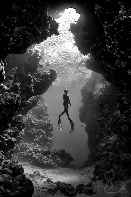 Underwater Photography by Jacques de Vos